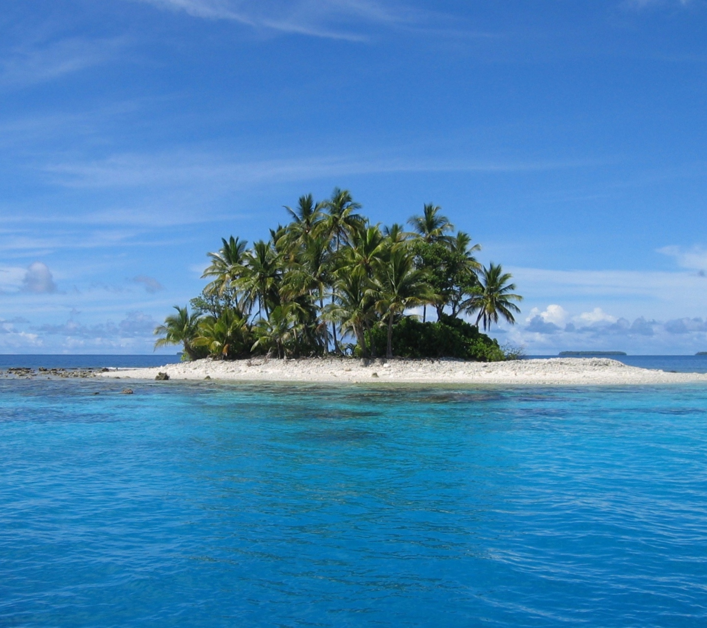 Обои Bunaken, Indonesia 1440x1280