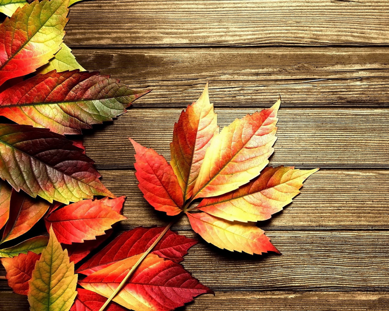 Fondo de pantalla Autumn Leaves 1600x1280