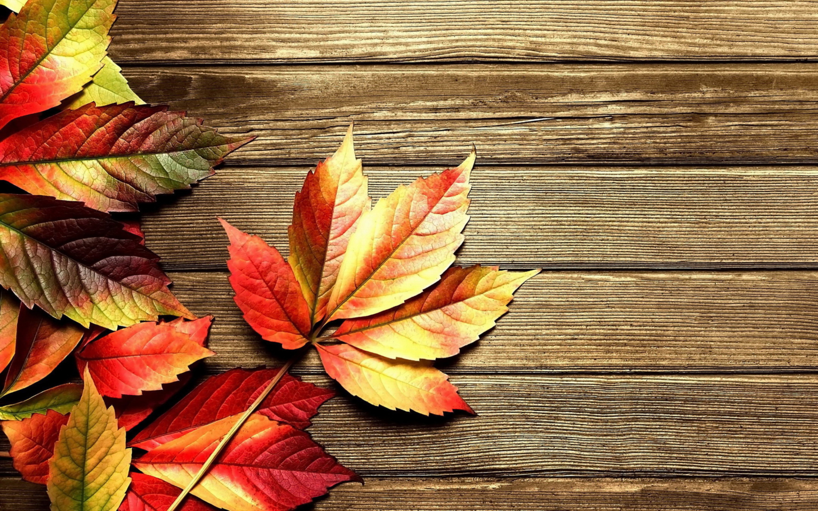 Autumn Leaves wallpaper 1680x1050