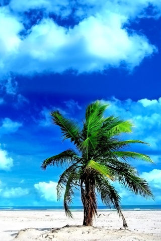 On The Beach wallpaper 320x480