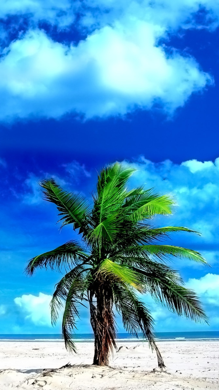 Screenshot №1 pro téma On The Beach 750x1334