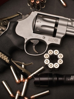 Screenshot №1 pro téma Revolver 240x320