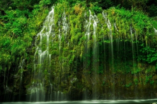 Waterfll in National Park sfondi gratuiti per cellulari Android, iPhone, iPad e desktop