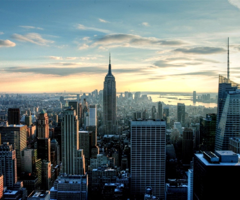 Empire State City screenshot #1 480x400