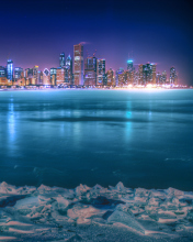 Sfondi Chicago City At Night 176x220