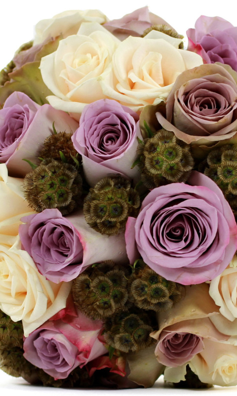 Bouquet with lilac roses wallpaper 480x800