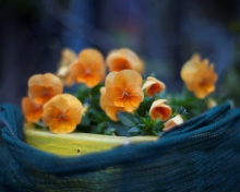 Orange Flowers screenshot #1 220x176