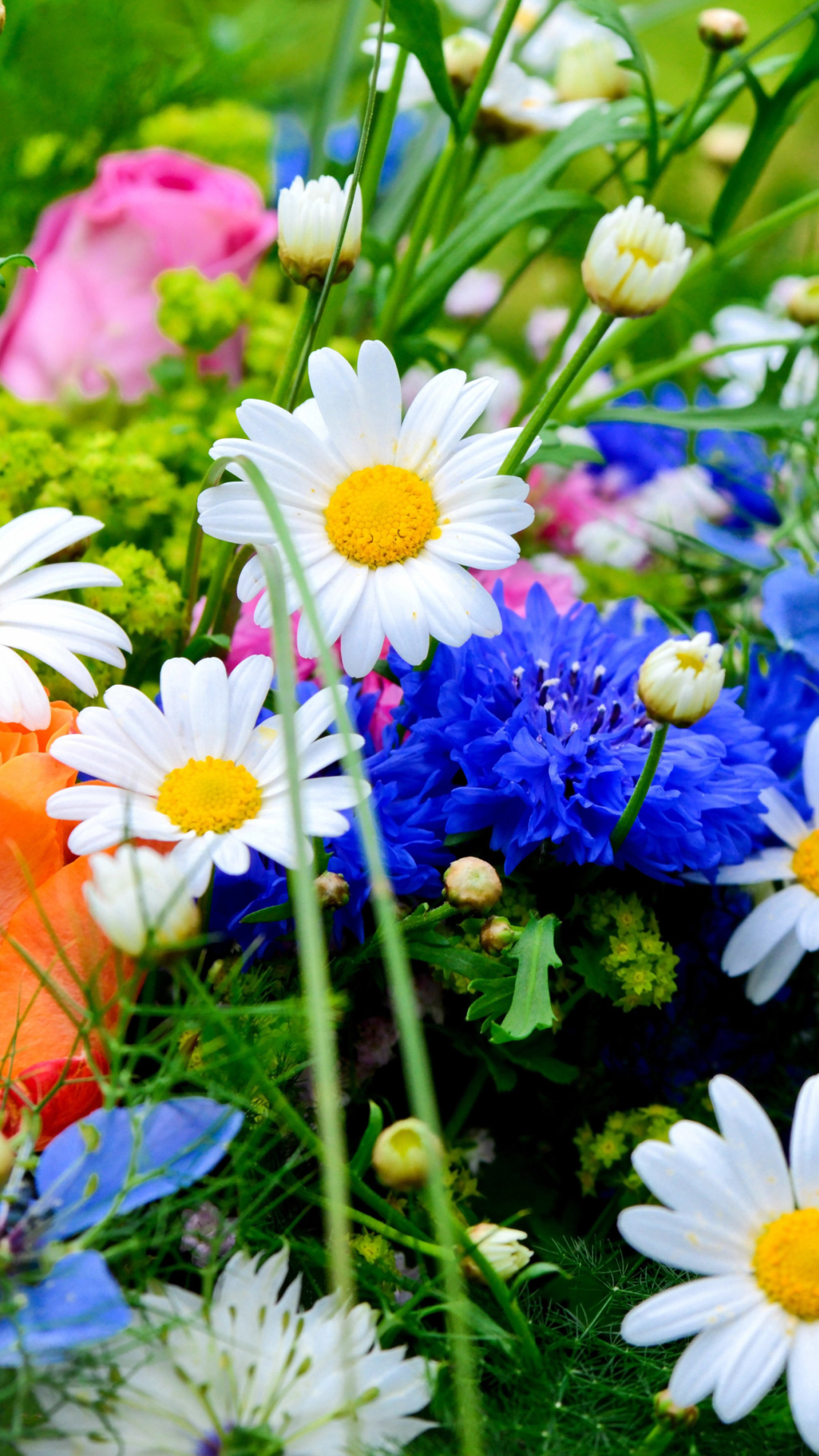 Fondo de pantalla Flower Bouquet 1080x1920