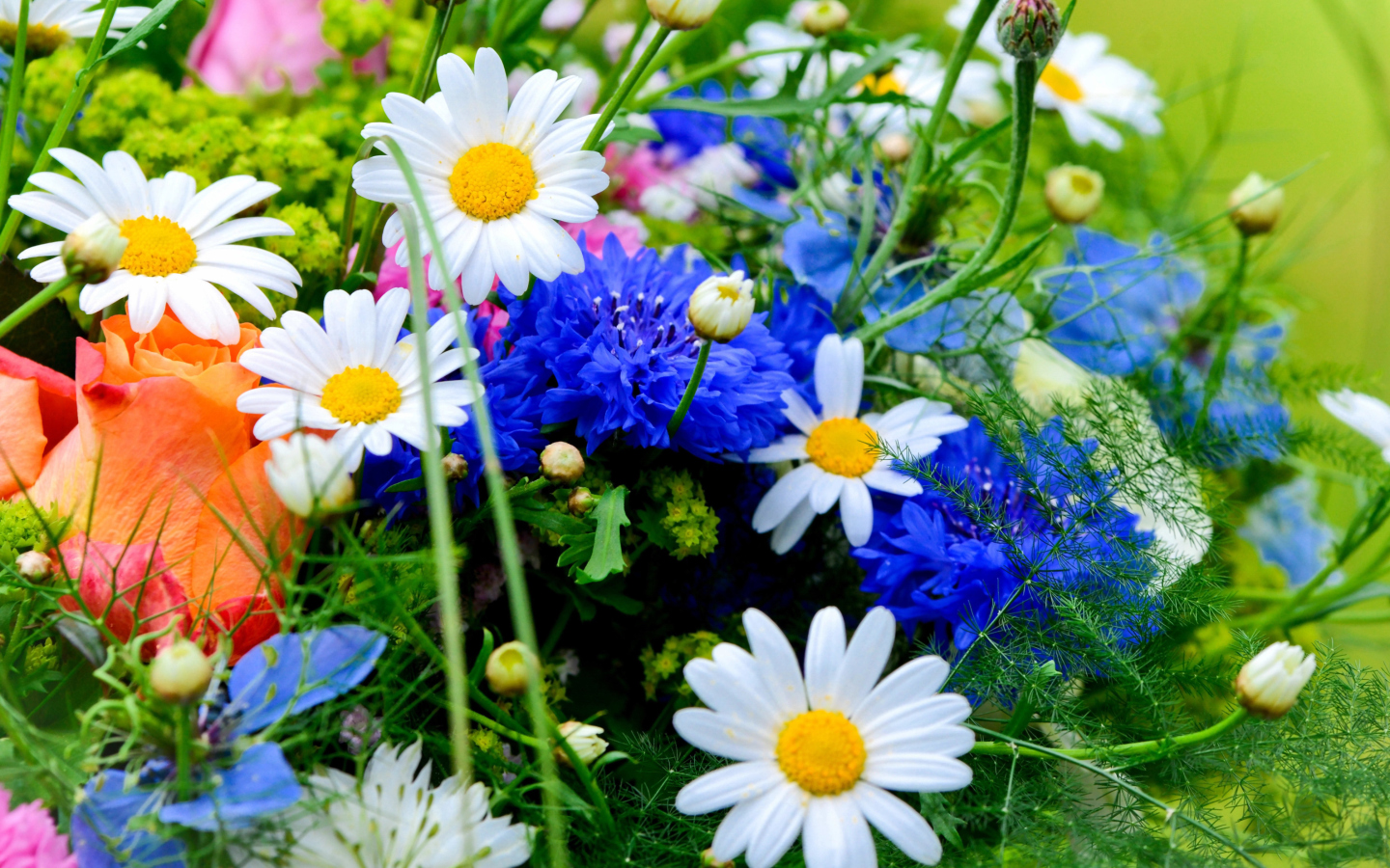 Fondo de pantalla Flower Bouquet 1440x900