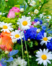 Fondo de pantalla Flower Bouquet 176x220