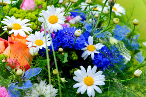 Fondo de pantalla Flower Bouquet 480x320