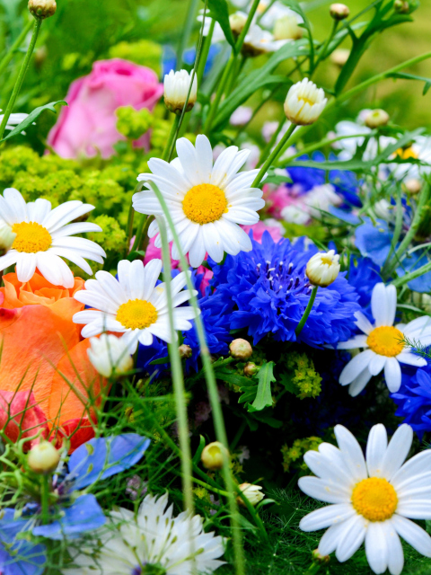 Fondo de pantalla Flower Bouquet 480x640