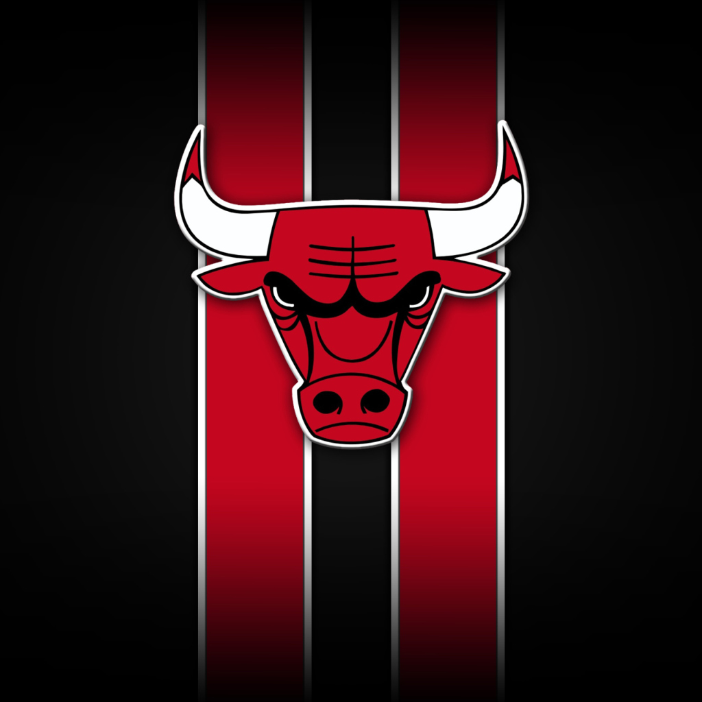 Fondo de pantalla Chicago Bulls 1024x1024