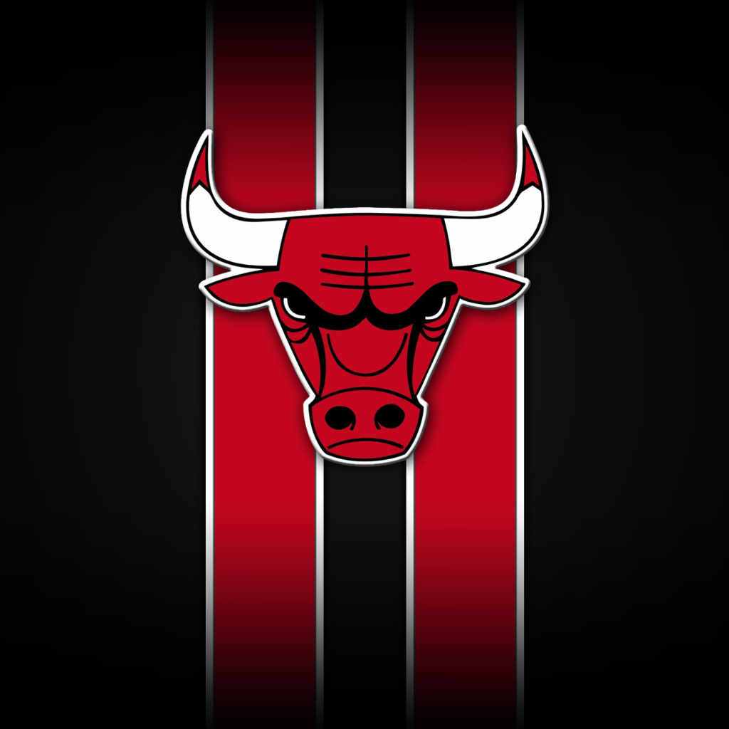 Chicago Bulls screenshot #1 1024x1024