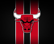 Chicago Bulls screenshot #1 176x144