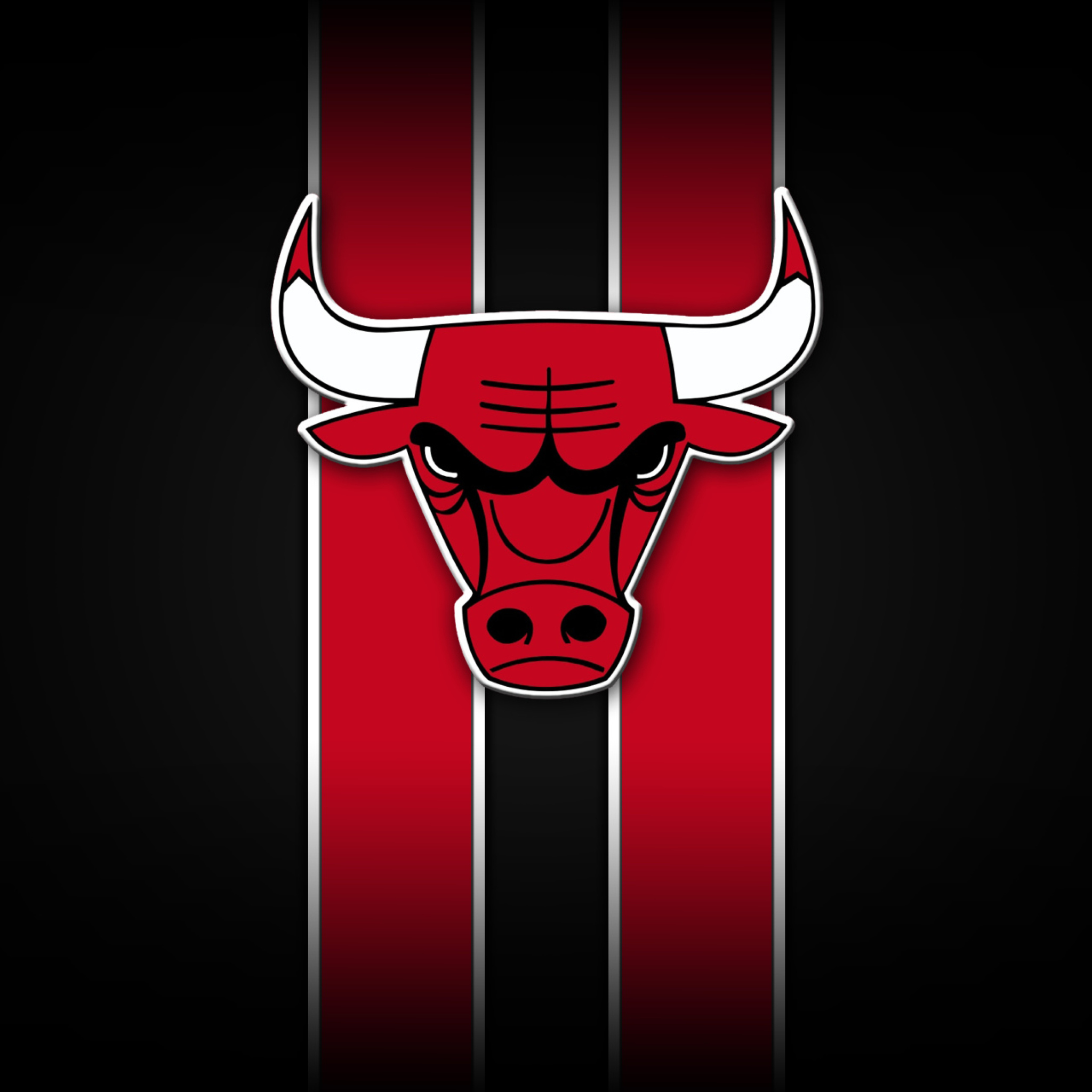 Обои Chicago Bulls 2048x2048