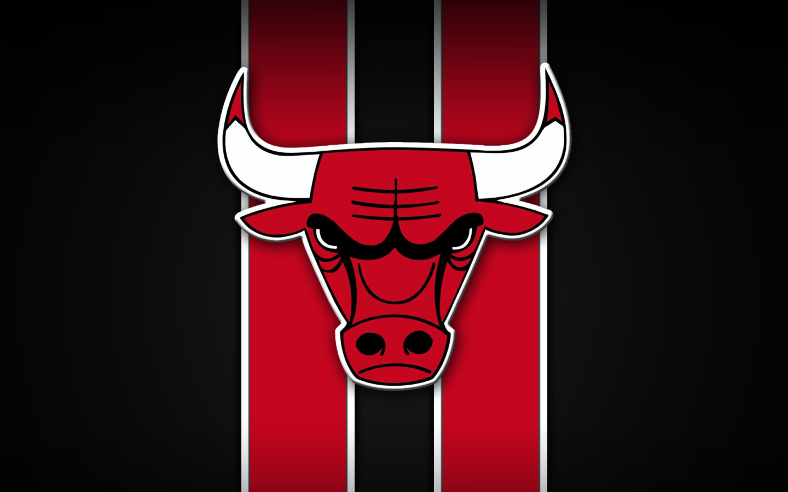 Chicago Bulls screenshot #1 2560x1600