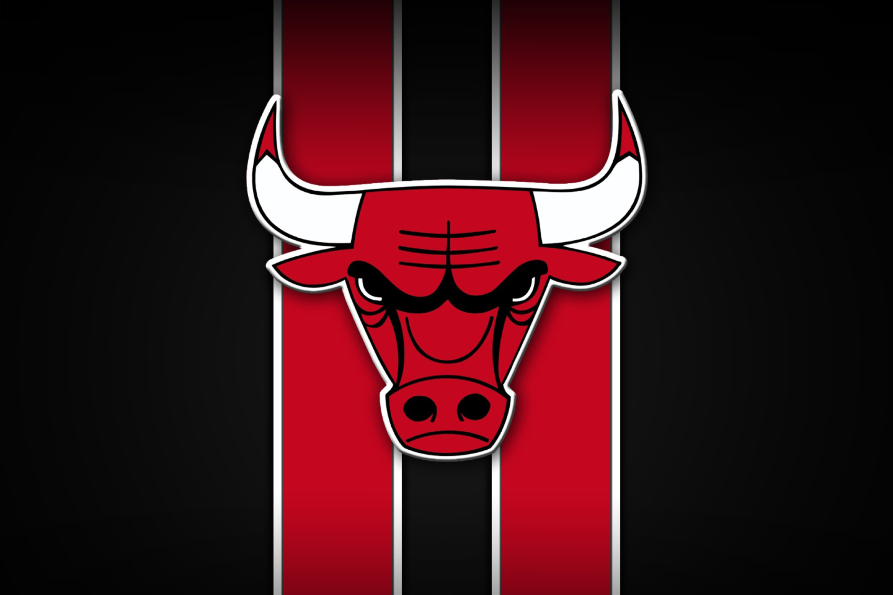 Das Chicago Bulls Wallpaper 2880x1920