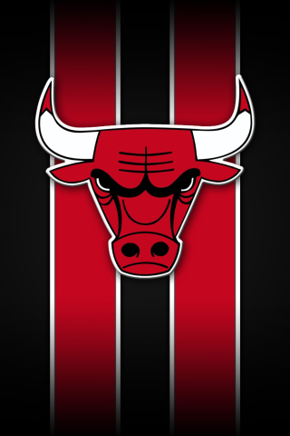 Chicago Bulls screenshot #1 320x480