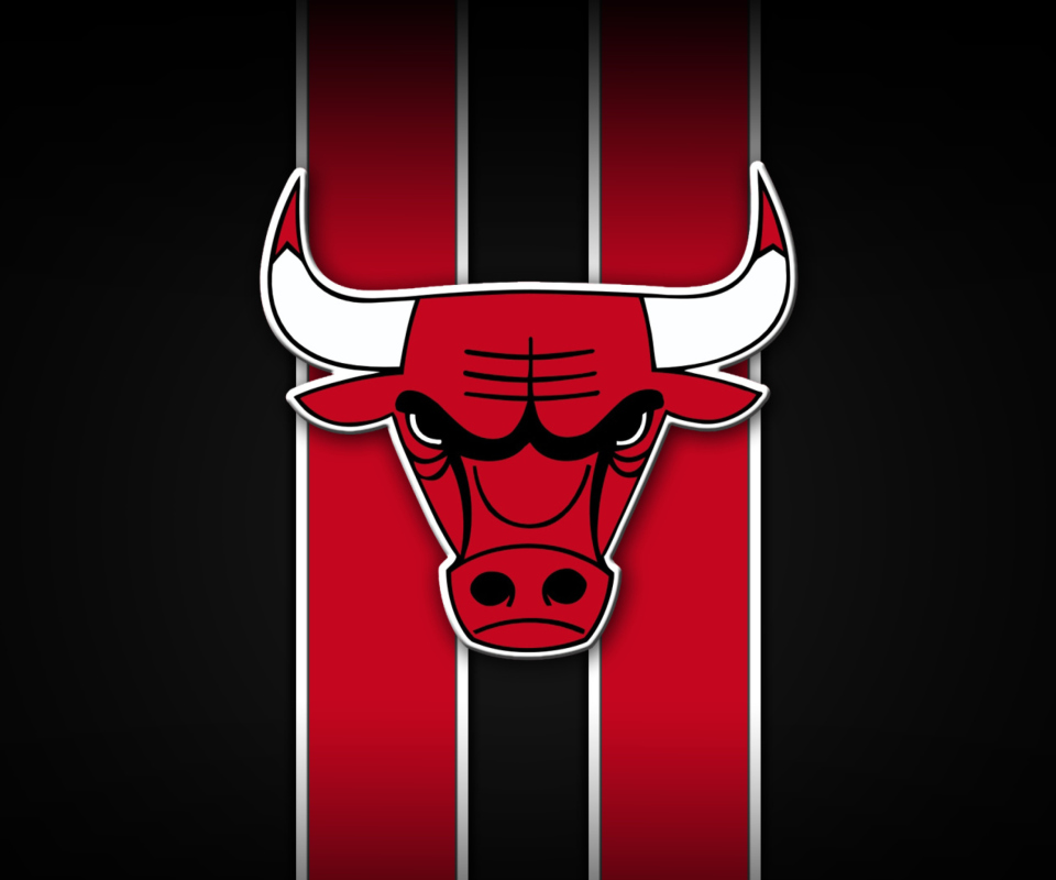 Chicago Bulls screenshot #1 960x800