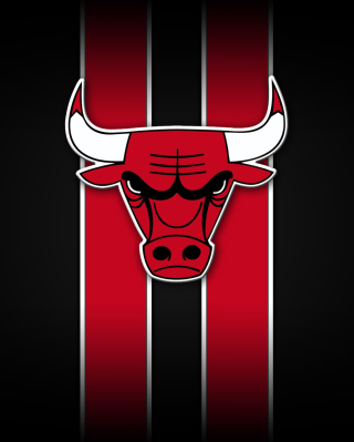 Chicago Bulls - Obrázkek zdarma pro Nokia C2-05