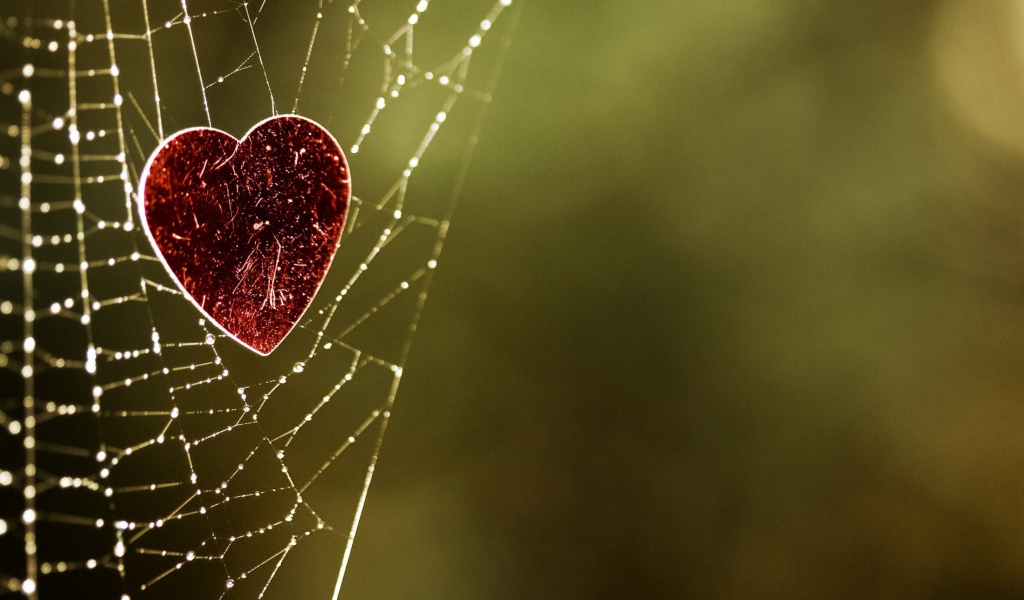 Screenshot №1 pro téma Heart And Spider Web 1024x600