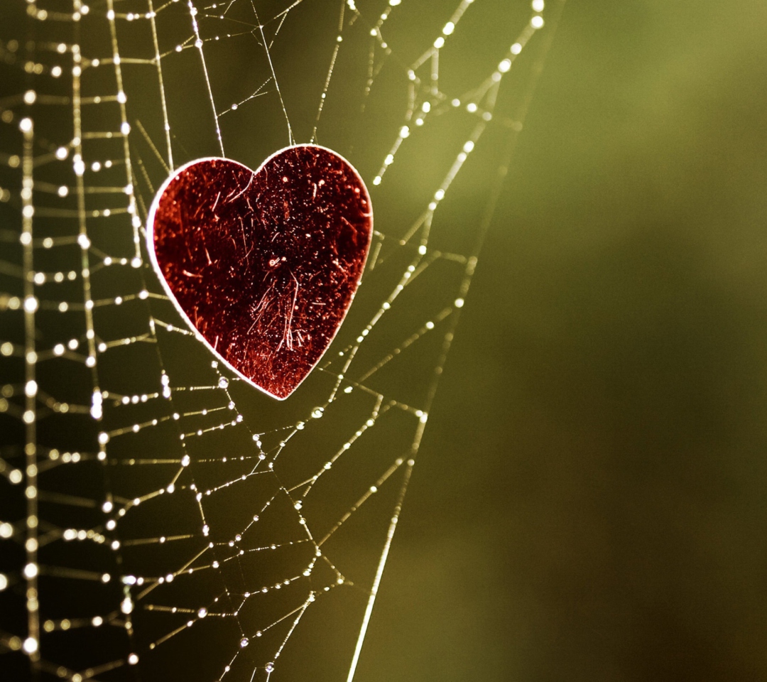 Обои Heart And Spider Web 1080x960