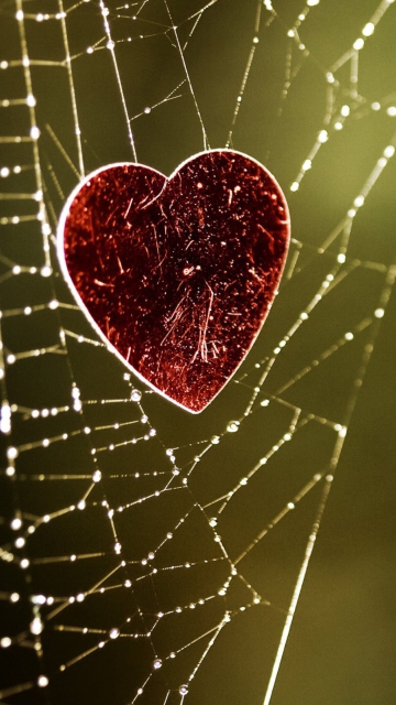 Heart And Spider Web screenshot #1 360x640