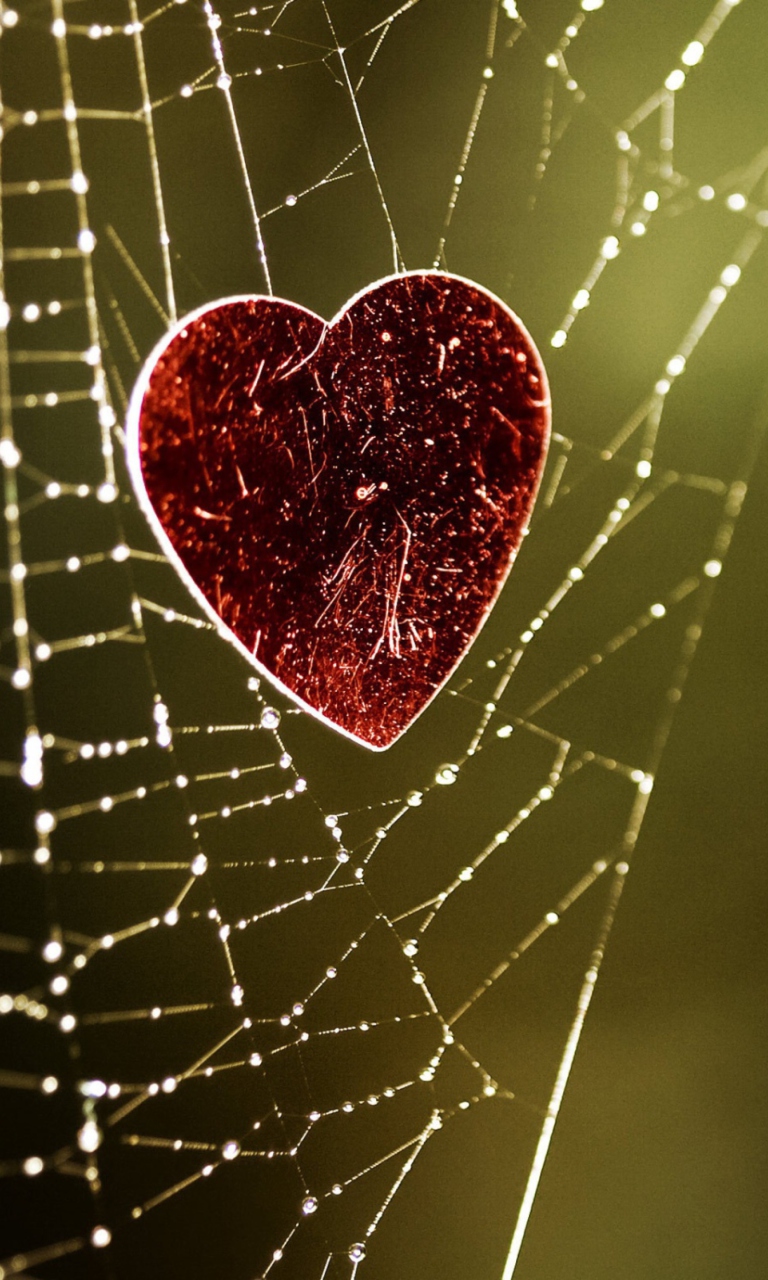 Das Heart And Spider Web Wallpaper 768x1280