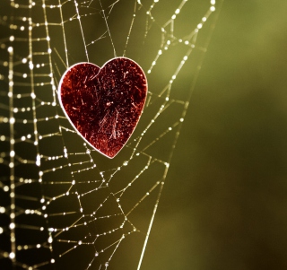 Heart And Spider Web sfondi gratuiti per iPad mini