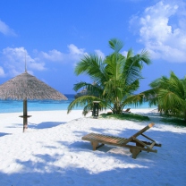 Mexico Beach Resort screenshot #1 208x208