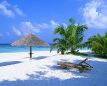 Mexico Beach Resort wallpaper 220x176