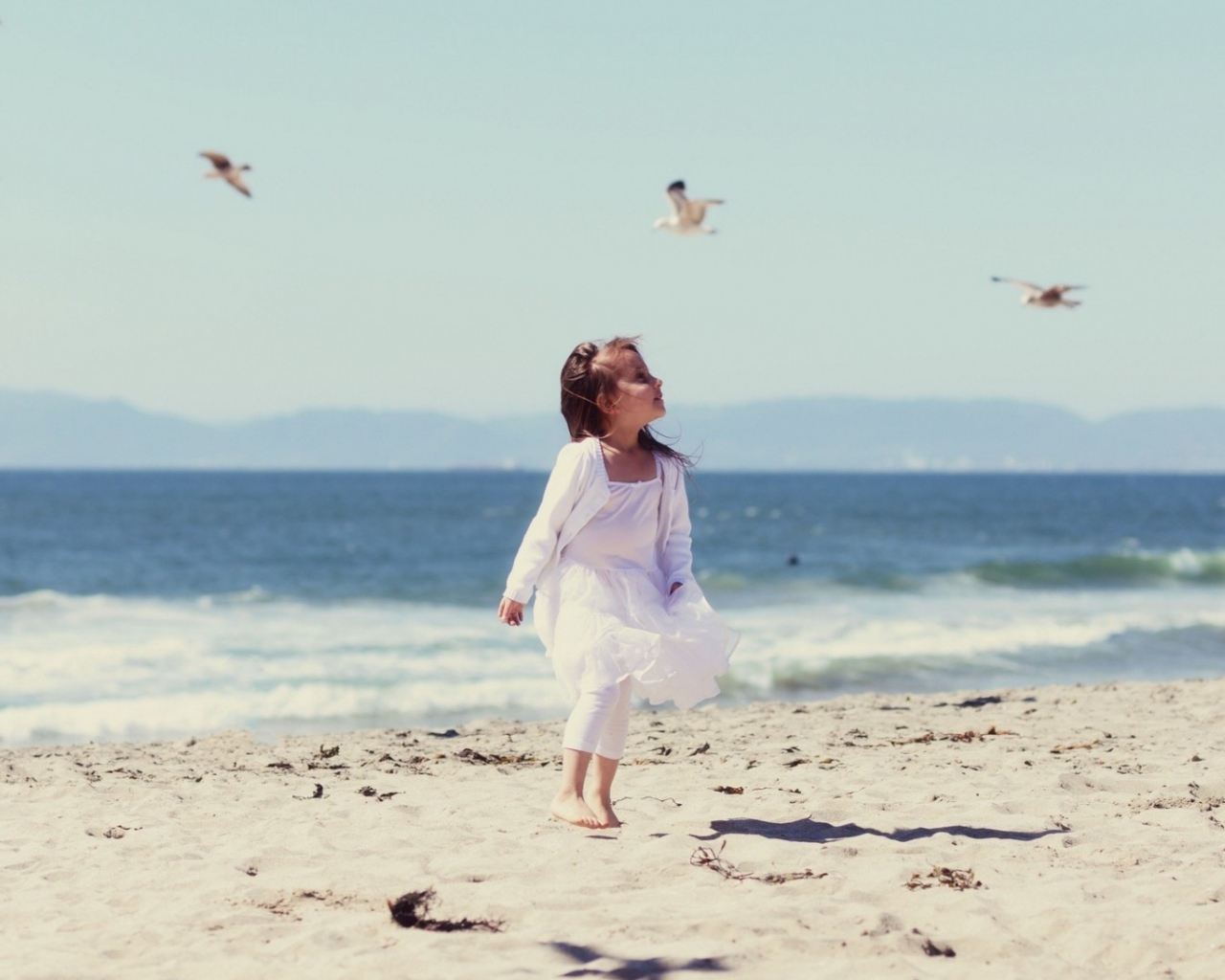Little Girl And Seagulls On Beach wallpaper 1280x1024