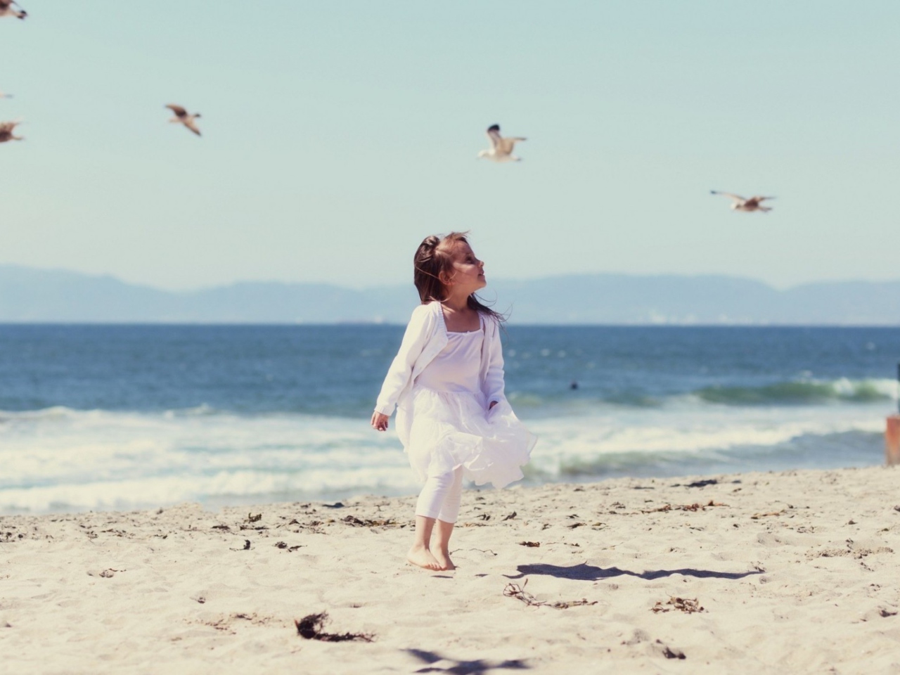 Обои Little Girl And Seagulls On Beach 1280x960