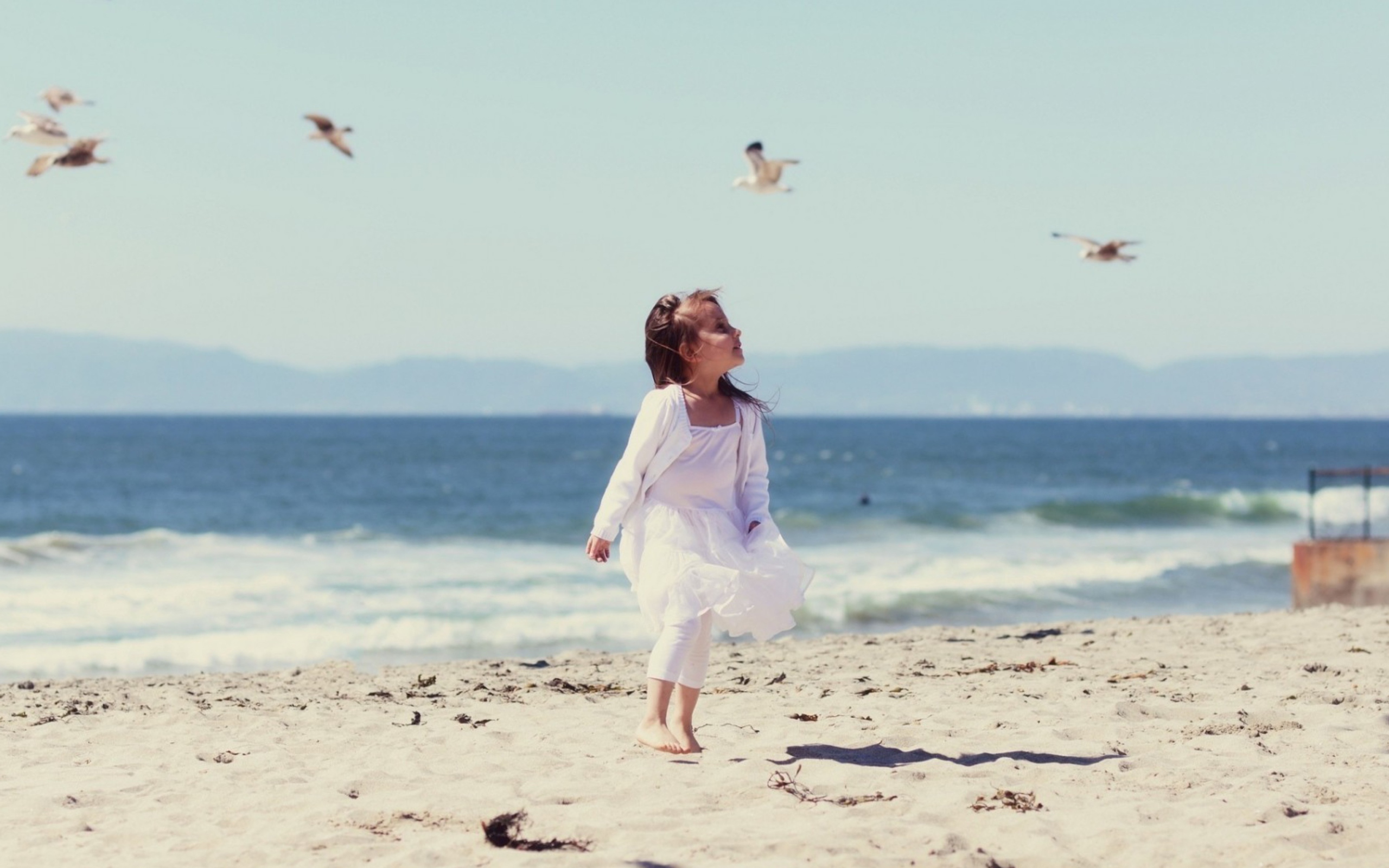 Das Little Girl And Seagulls On Beach Wallpaper 2560x1600