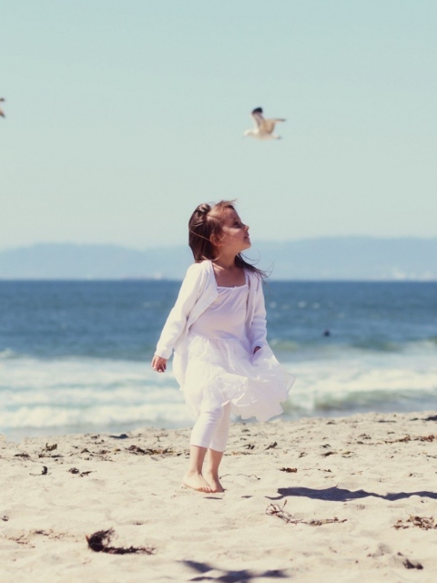 Sfondi Little Girl And Seagulls On Beach 480x640