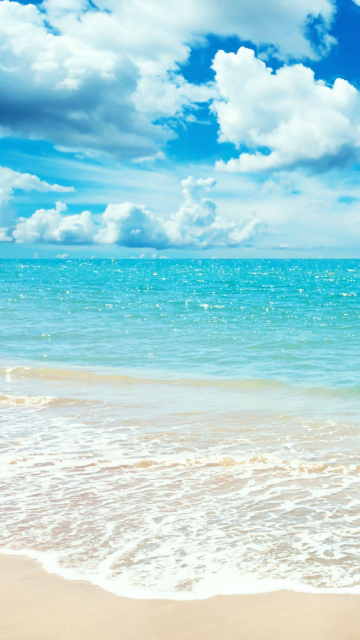 Beach screenshot #1 360x640