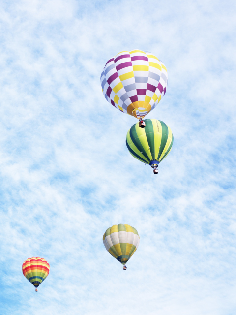 Air Balloons screenshot #1 480x640