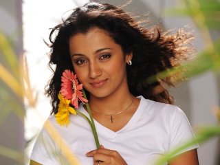 Trisha Krishnan screenshot #1 320x240