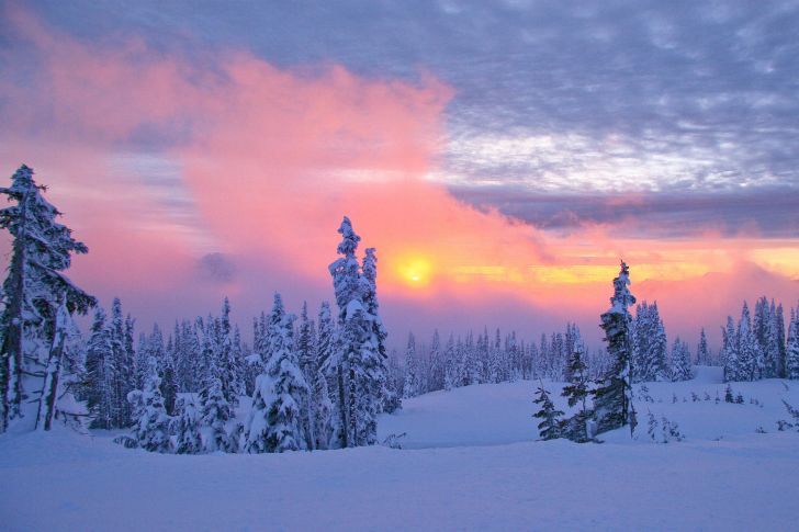 Fondo de pantalla Winter In Washington