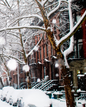 Winter On New York Streets wallpaper 176x220