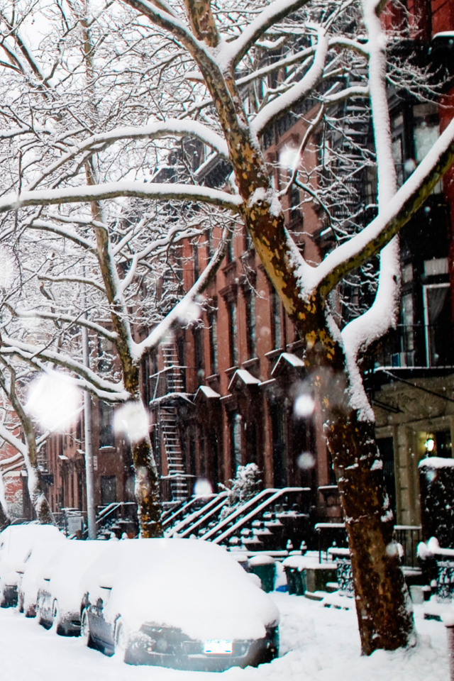 Winter On New York Streets screenshot #1 640x960