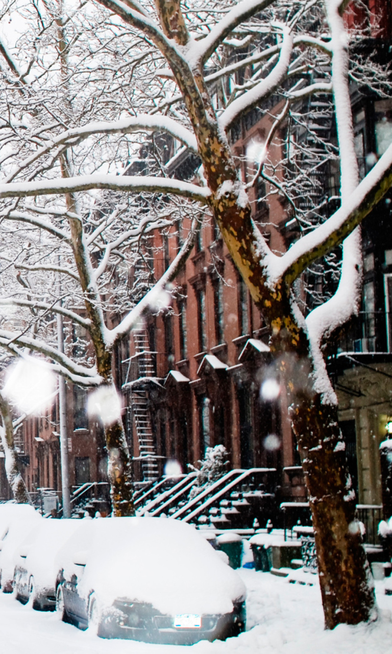 Sfondi Winter On New York Streets 768x1280