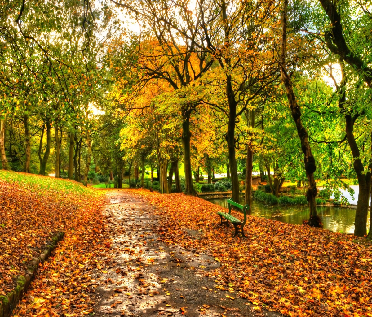 Fondo de pantalla Autumn In New York Central Park 1200x1024