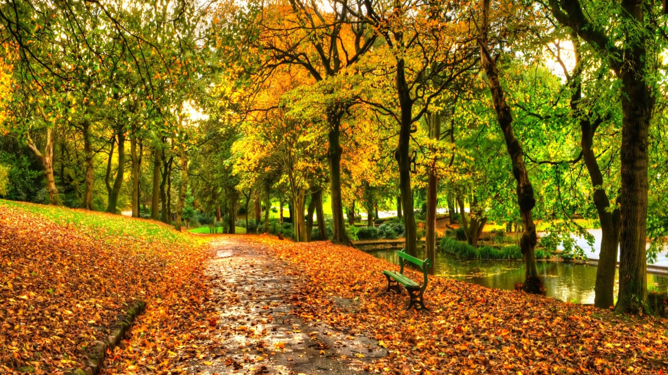 Autumn In New York Central Park screenshot #1 1366x768