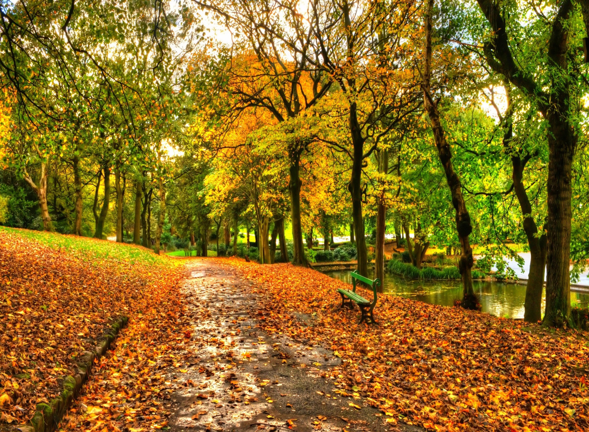 Sfondi Autumn In New York Central Park 1920x1408