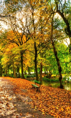 Autumn In New York Central Park screenshot #1 240x400