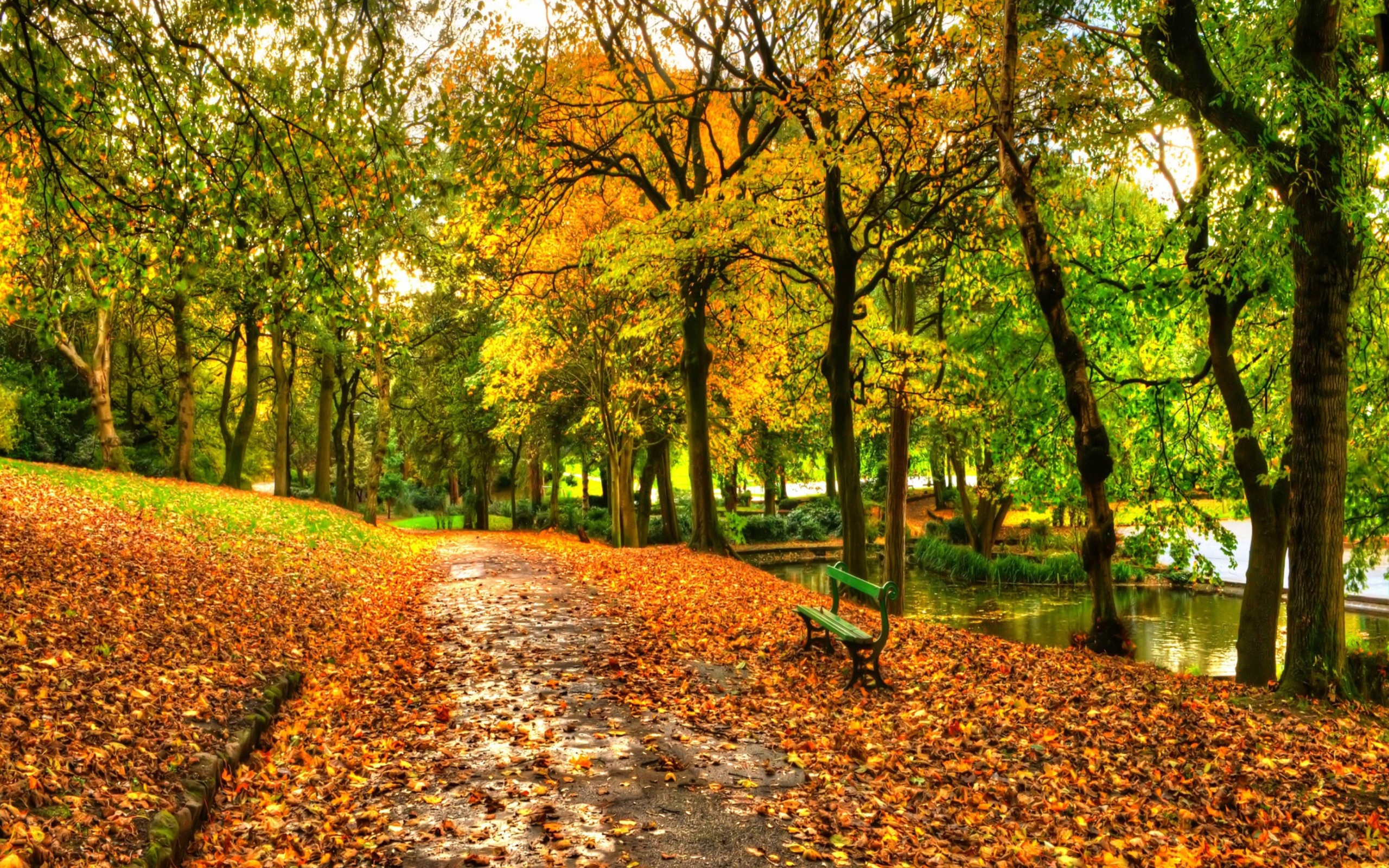 Das Autumn In New York Central Park Wallpaper 2560x1600