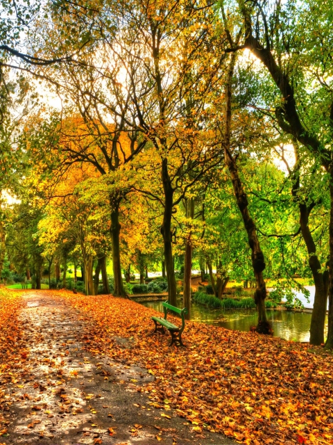 Screenshot №1 pro téma Autumn In New York Central Park 480x640