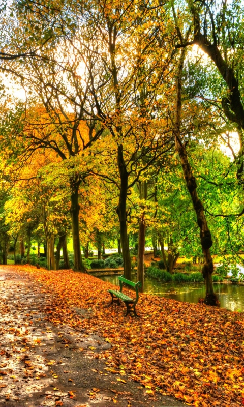 Das Autumn In New York Central Park Wallpaper 480x800